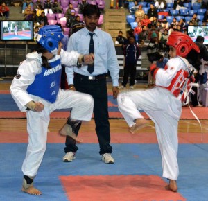 The Wings team competed in the 2013 National Tae Kwon Do Championships. Several girls won medals.